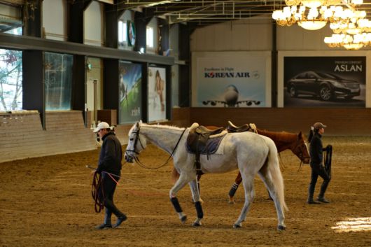 롯데백화점 VIP 에비뉴엘 혜택 중 하나인 ‘스티븐 승마 클럽’ 아카데미. 롯데백화점 제공
