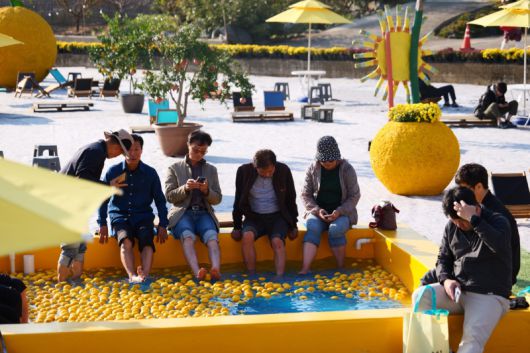 ‘고흥 유자축제’는 유자밭을 활용한 체험·감성형 프로그램과 유자 조형물 등 차별화된 콘텐츠를 통해 고흥 유자의 브랜드 가치를 효과적으로 구현했고, 유자 생과와 가공품 판매로 농가 소득 증대에 기여한 주민 주도형 운영 구조가 높다. /전남도