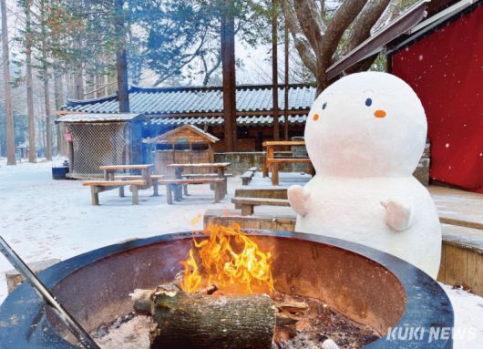 겨울 남이섬. (사진=남이섬)