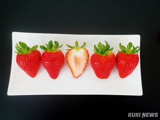 신품종 딸기 '미향'.