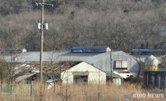 아프리카돼지열병(ASF)이 발생한 강릉의 한 양돈농장에서 사육되는 돼지 2만150 마리 가운데 19일 오전 현재 60% 가량인 1만2000여 마리에 대한 살처분이 완료됐다. 강릉 ASF 발생 양돈농장 모습.