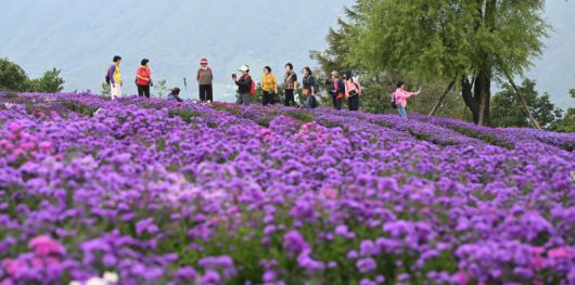감악산 별바람 언덕 관광객