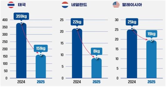 마얀단속 국제공조 성과. 관세청