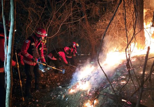 21일 부산 기장에서 발생한 산불을 진화 중인 산림청 산불특수진화대. 산림청