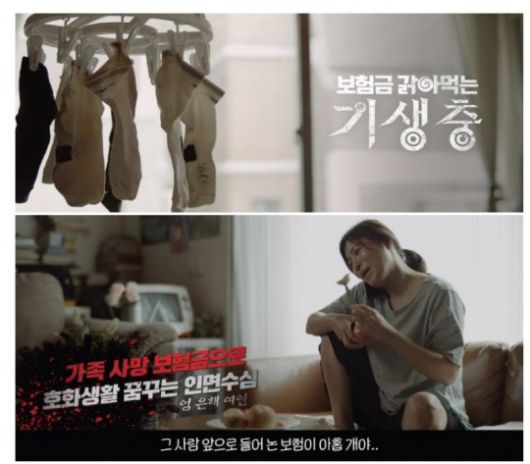 영화 ‘기생충‘ 패러디 홍보 영상 스틸컷. 사진 제공=금감원