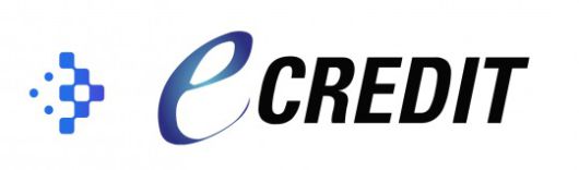 NICE평가정보(대표이사 김종윤, 이하 ‘나이스’)는 개인사업자의 공공입찰 참여를 지원하기 위한 기업신용평가 서비스 ‘이크레딧 나우(eCREDIT NOW)’를 새롭게 출시했다고 23일 밝혔다./사진 = NICE평가정보 홈페이지 갈무리