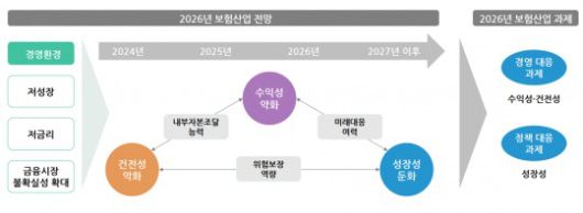 자료=보험연구원