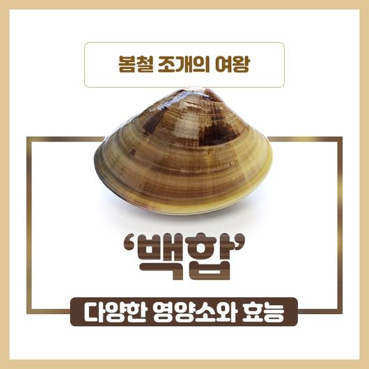 힐팁