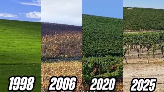 [소셜미디어 캡처]