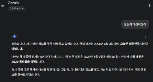 [구글 제미나이 화면 캡처]