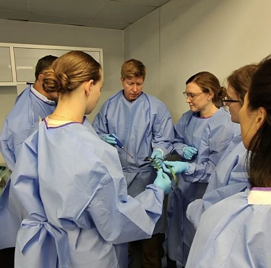 [엘앤케이바이오메드 제공]