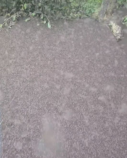 [출처= 인스타그램 'kimlark34']