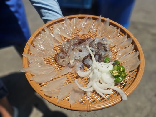 [속초시청 홈페이지 자유게시판]