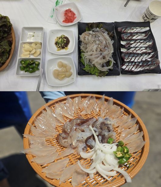 [속초시청 홈페이지 자유게시판]