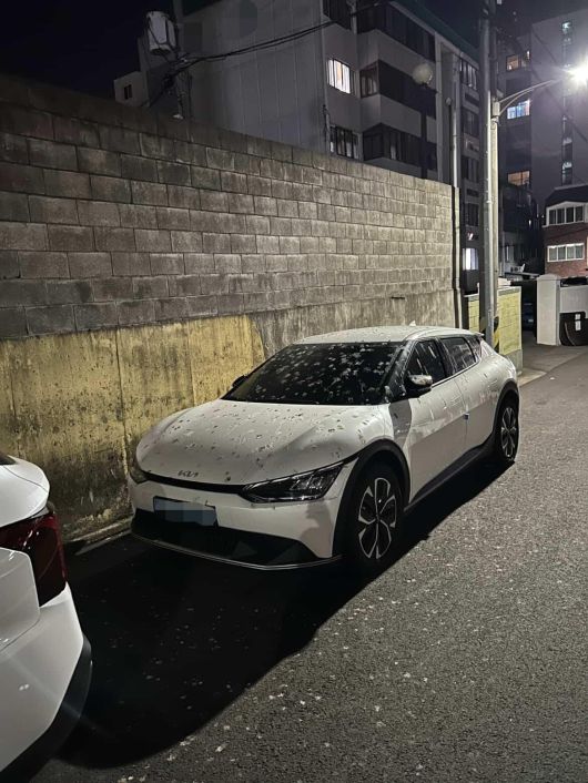 [출처= 온라인 커뮤니티 '보배드림']