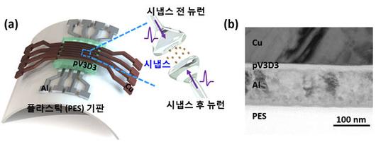 전자신문