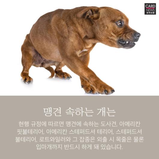 전자신문