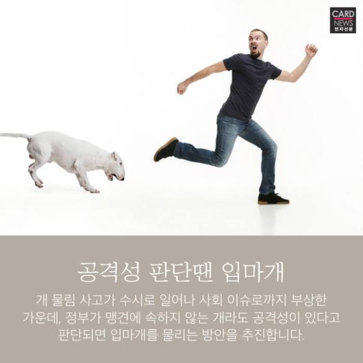 전자신문