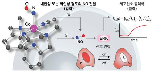 전자신문