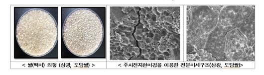 전자신문