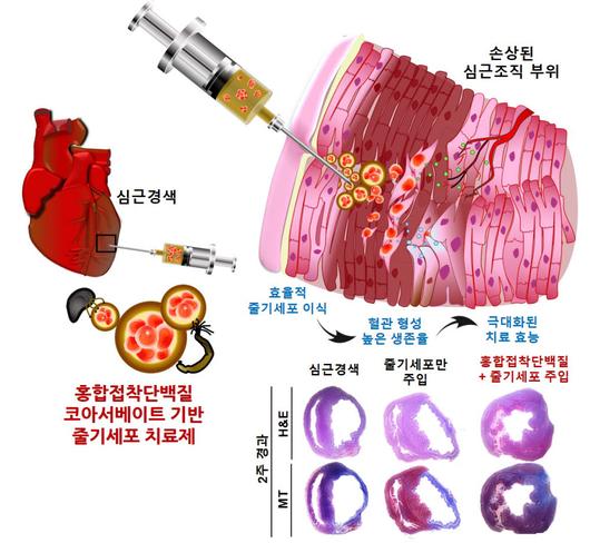 전자신문