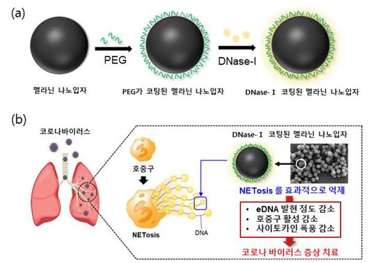 전자신문