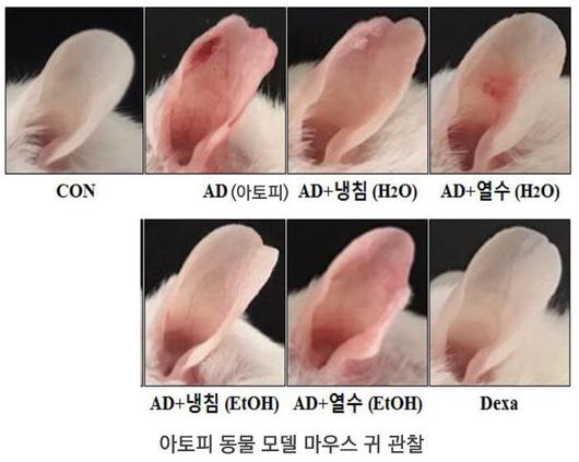 전자신문