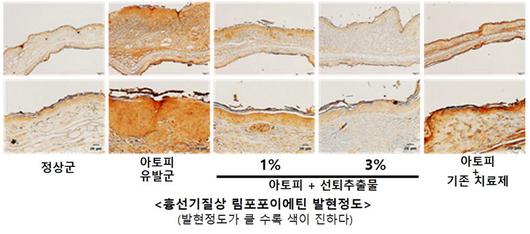 전자신문