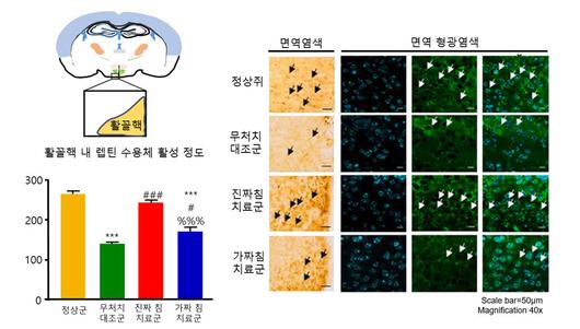 전자신문