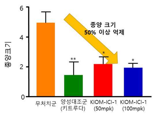 전자신문