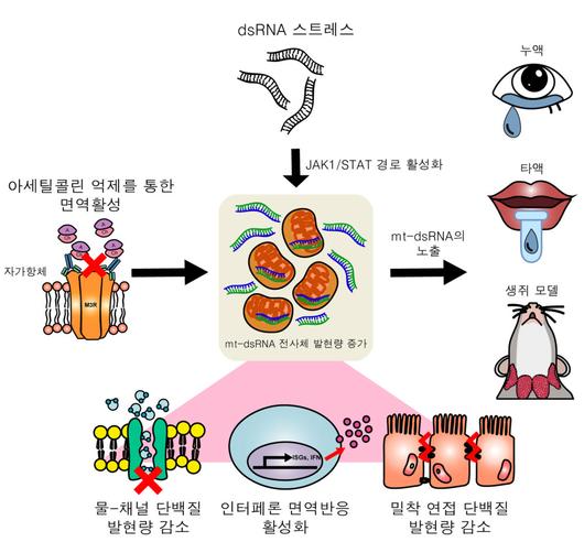 전자신문