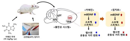 전자신문