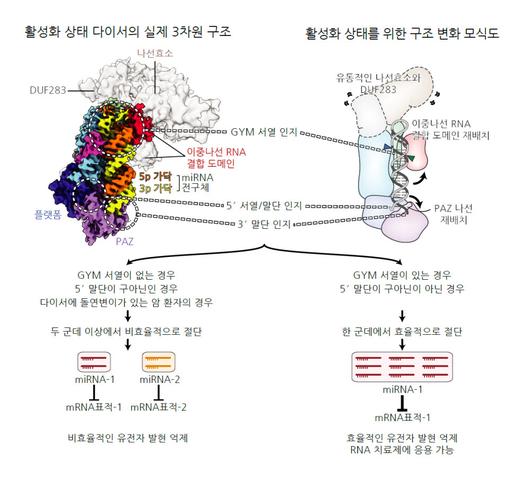 전자신문