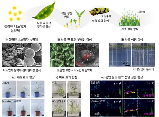 전자신문