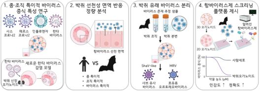 박쥐 오가노이드를 활용한 주요 연구 결과