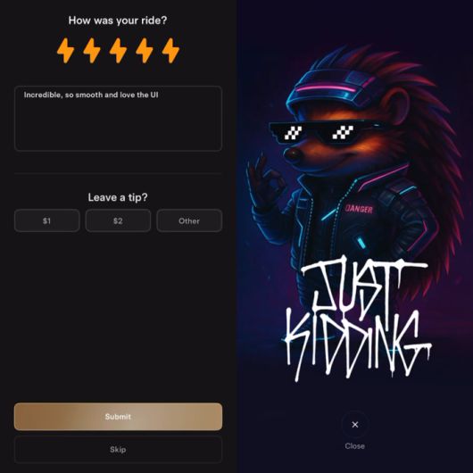 테슬라 로보택시 팁 결제 페이지에 숨겨진 이스터에그. 사진=엑스 캡처