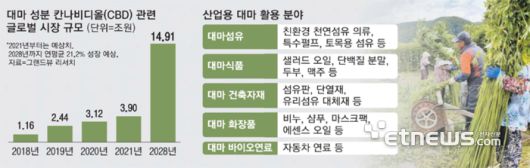 산업용 대마 시장 규모 및 활용분야