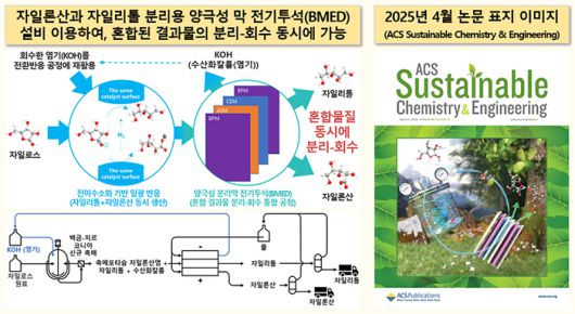 자일론산·자일리톨 분리용 양극성 분리막 전기투석(BMED) 모식도와 관련 논문 표지 이미지
