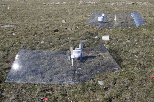 북극 툰드라 지역에 설치된 Open-Top Chamber (OTC) 기반 수동 온난화 실험 장치.