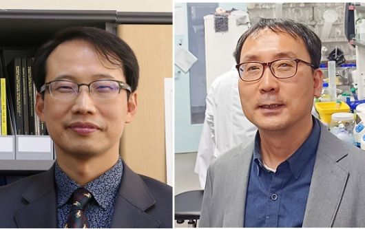 백문창 경북대 의과대 교수(왼쪽)와 예경무 디지스트 교수