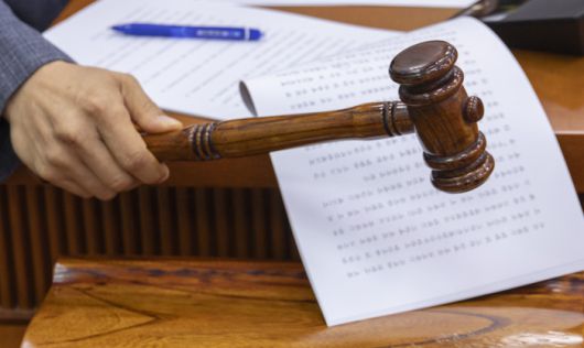 29일 국회에서 열린 농림축산식품해양수산위 전체 회의에서 여야 의원들이 '농수산가격안정제 도입'을 핵심으로 하는 농안법과 양곡법을 처리하고 있다. (사진=연합뉴스)