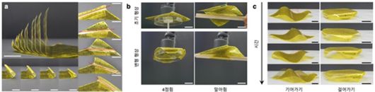 단일 로봇 종이로부터 유도되는 다양한 형상 변형 및 이의 활용 예시