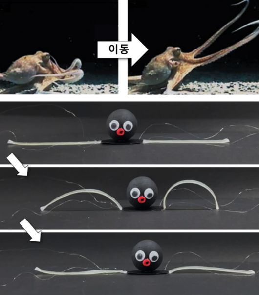 이동 기능을 수행하는 옥토이드의 다리