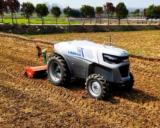 출처=더우인(52564273686)