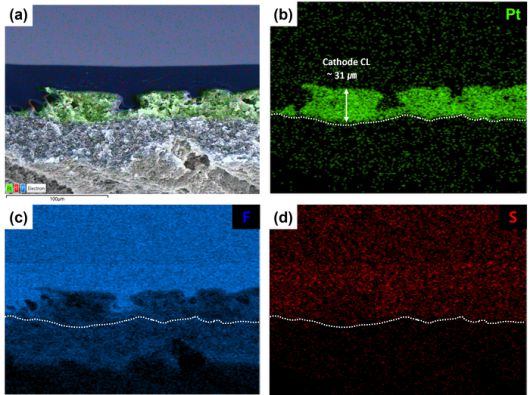 일체형 막-전극 접합체의 전자현미경 (SEM) 단면 및 원소 분포 이미지 (a) 전체 원소, (b) 백금 분포, (c) 불소 분포, (d) 황 분포.