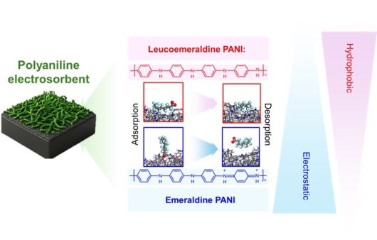 전도성 고분자의 전기적 상태 변화에 따른 과불화화합물 흡착 및 탈착 매커니즘