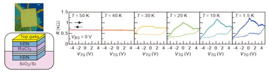 소자모식도(왼쪽)와 강유전 현상결과