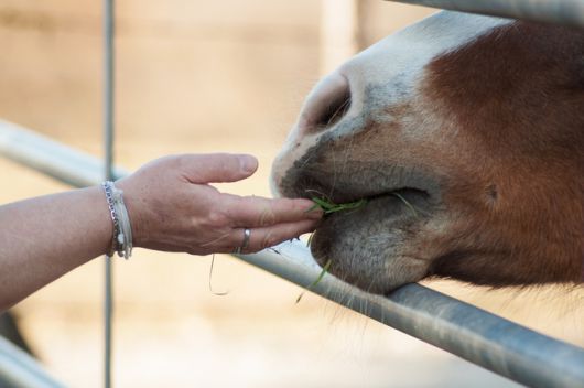 기사와 직접적 연관 없음. 사진=게티이미지뱅크