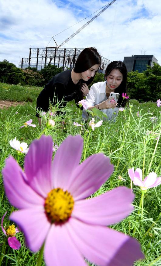 전자신문