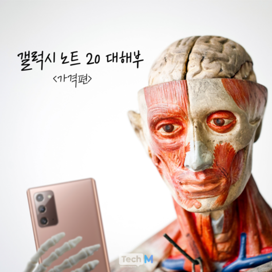 테크M